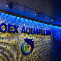 �����Ȳ�����������κ��� 