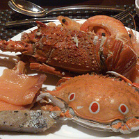 ÿ�γ����������úܳԲ�����������