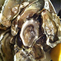 ��������ʳ