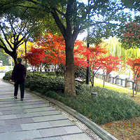 ����---�����ȫ��ѡ��