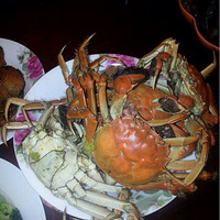 �����嵭�㡣