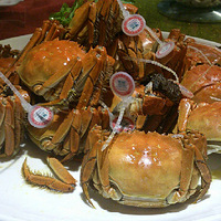 ���˼ҳԷ����ǰ���