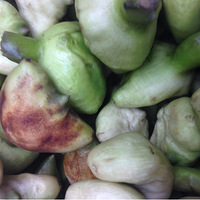 ��������ʳ