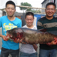 10.2 ���ֵ������ ׽��һ��50���Ļ�����