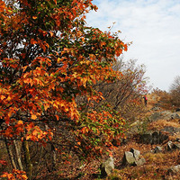 10.13 �����Ǹߣ��߼���߷壬�������ŵ��������䣬���ƺ�