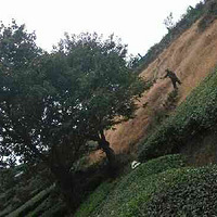 �������ϼҴ��˶����������