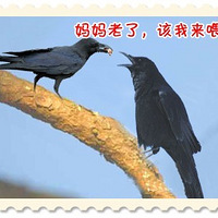 ���������ѧ�����ӹ桷ͼƬϵ��