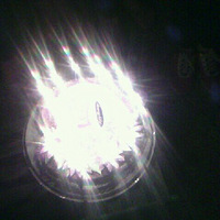 ��������ʳ