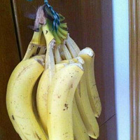 С2�Ӹ�Ц����10����������ᣡ