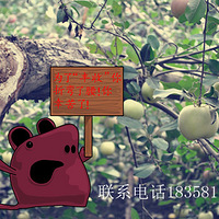 ������"������"��֪����?