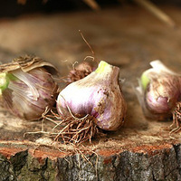 ��ѩ������ʳ����������ε�12���߲�