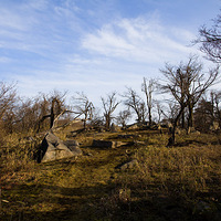 ���յǶ�����ɽ������3��������������