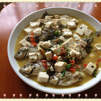 ����˽��֮Ұ�����ն���