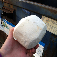 ��������ʳ