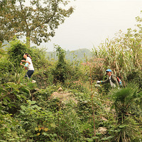 �Ƕ����ϼ⣬�������裬�͸�ɽҰ��