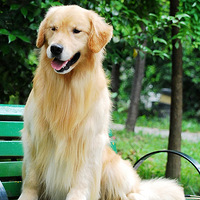 40���ë��ױ��