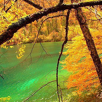 10��18�ճ���--�˼�����--��կ��