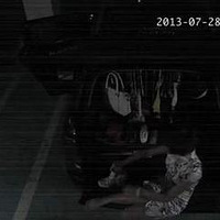 �������붼�����ϸ�����������黳  ��3008�³����顿