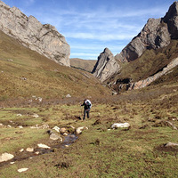 ���޶�¿������ͽ������