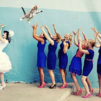 ���صĻ��ס���è��