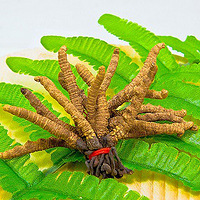 ���г�ʲô����ͬ���ʲ�ͬ�Է� 