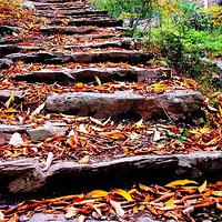 10��26��-¿�ѽڡ��ŵ����ơ��պ��ŵ�������