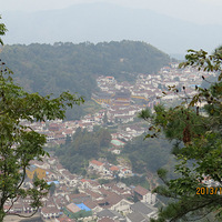 �Լݸ��ܾŻ�ɽ����