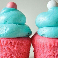 ��������ʳ