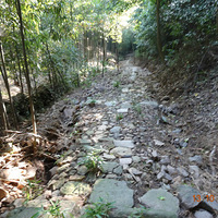 �ŵ�̽��2013��������վ����Ϫ��ŵ�