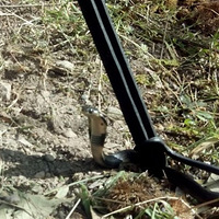 ���ǣ�������ץ�۾��ߵľ�����ɹɹ��