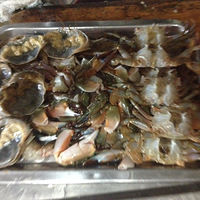 ��ζ������з������