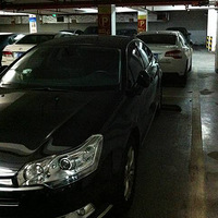 ��ϵ��  ����Ҫ��������������