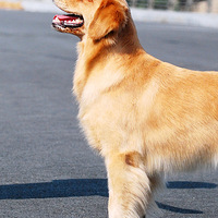 ��ĩ�����Ƕ��ؾ��ֲ����������