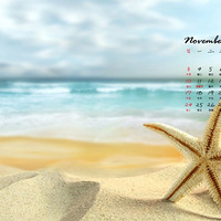 2013��11��������ֽ