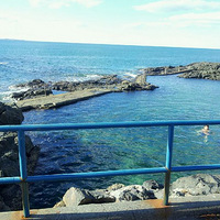 <�ڴ����Ϊ��ҵ���ѧ��������Ͽҵİ�����������ѧ���ʱش�>