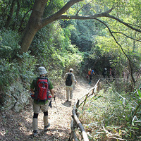 ��Ϫ��ŵ��ع�