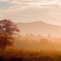 11�·ݣ�ʲô��𣿣���Ȼ������ɽ����������������ɫ����