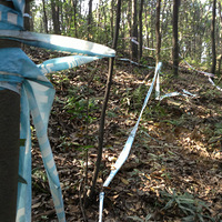 ��Ұ�� �� ��Ұ�� ��һ��