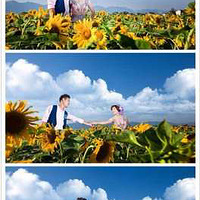 ͩ® ���� ����