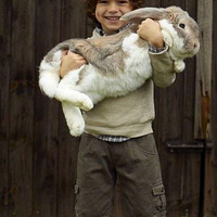 ���붯���