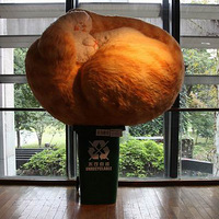 ��ɽ·�ϵ��������չ �ܲ���Ŷ