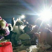 �����Ľ��