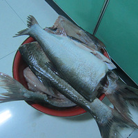 ����Ǯ�������㡢��ͷ��