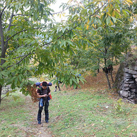 ������ͽ��¶Ӫ��㱨��