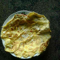 ����ʮ�ֲ��õĵ�������