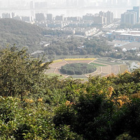 10��29�յ����ɽ��ҵ