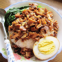 ��������ʳ