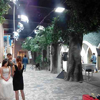 ����������Ƭ��