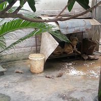 �����ԣ��ҿ���