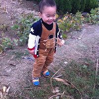 ���������ż�